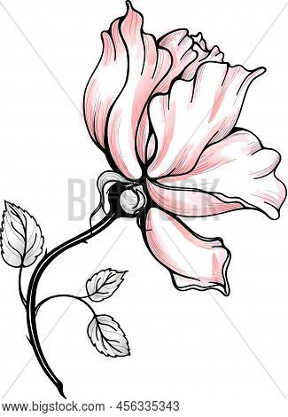 Rose Hip Vector Illustration For Any Use