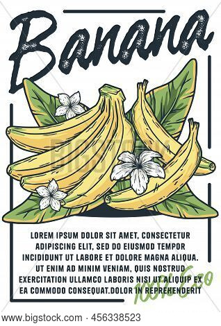 Banana Poster. Summer Exoic Fruit And Flowers With Tropical Leaves Design