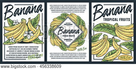 Banana Set Of Posters. Summer Exoic Fruit And Flowers With Tropical Leaves Design