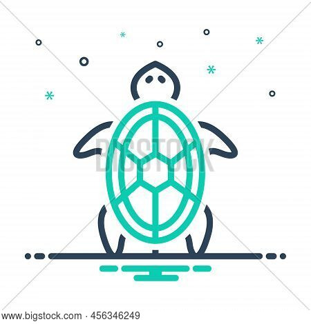 Mix Icon For Turtle Amphibious Animal Quatic Tortoise Underwater Reptile