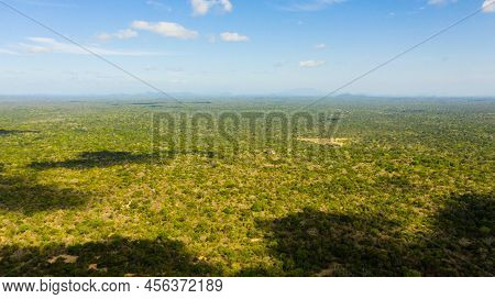 Top View Of Jungle And Rainforest In The National Park. Sri Lanka.