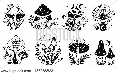 Celestial Mushroom. Hand Drawn Mystical Magic Mushrooms With Moon And Stars, Sakral Psychedelic Trip