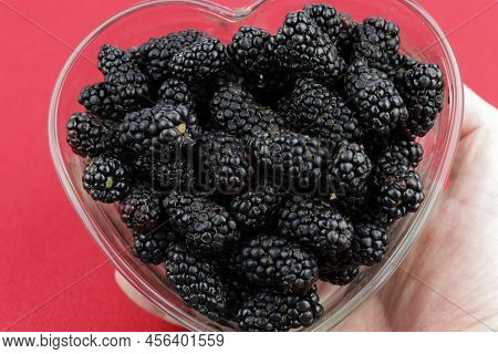 A Caucasian Hand Holding A Heart Shaped Glass Dish Full Of Blackberries Close-up  In Front Of A Red 