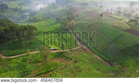 Aerial View Of The Atmosphere Around The Tent Site Of The Datar Pinus Park. Lots Of Traveller Are Ca