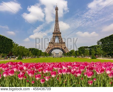 Eiffel Tower And Spring Tulips On Field Of Mars, Paris, France