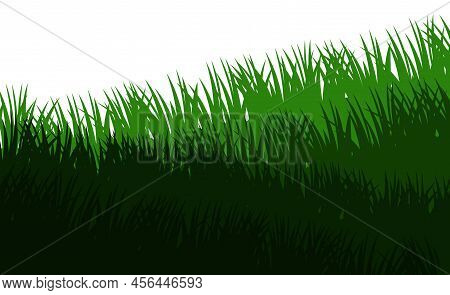 Grass. Nature Rural Landscape. Pasture Overgrown. Overgrown Dense Lawn. Isolated On White Background