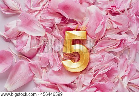 Number Five 5 Golden Celebration Birthday Candle On Pink Flower Petals Background. Five Years Birthd