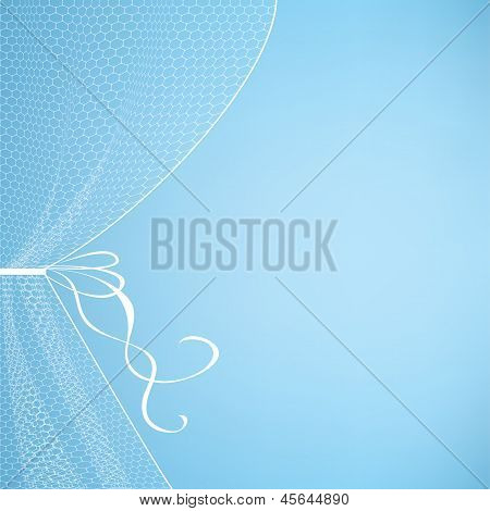 백색 Tulle 커튼