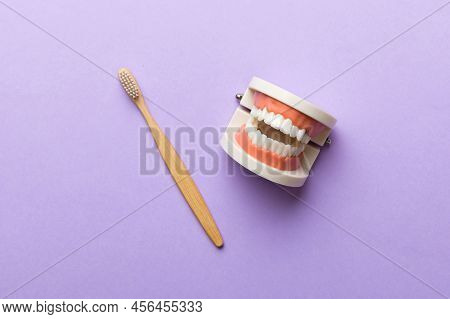 Closeup Model Of A Human Jaw With White Teeth And Toothbrush. Dentistry Conceptual Photo. Prosthetic