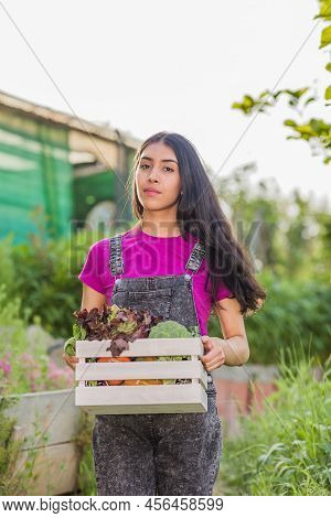 Proximity Agriculture Gardener. Organic Vegetables. Venezuelan Latin Urban Gardening Food