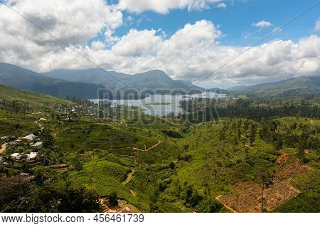 Tea Plantation And Maskeliya Lake Or Maussakelle Reservoir Near Nuwara Eliya In Sri Lanka.