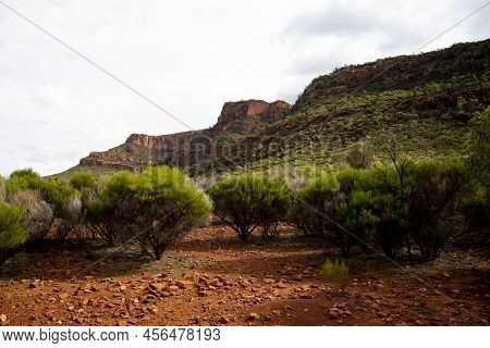 Ikara Flinders Ranges National Park - Australia