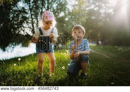 Cute Little Children Blowing Off Dandelion Seeds On Sunset In Park. Photo With Backlight