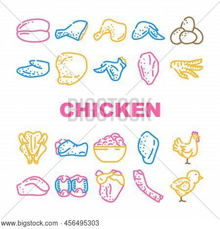 Chicken Carcass, Meat And Organs Icons Set Vector. Chicken Broiler Skinless And Boneless Fillet And 