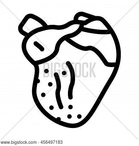 Broiler Chicken Heart Line Icon Vector. Broiler Chicken Heart Sign. Isolated Contour Symbol Black Il