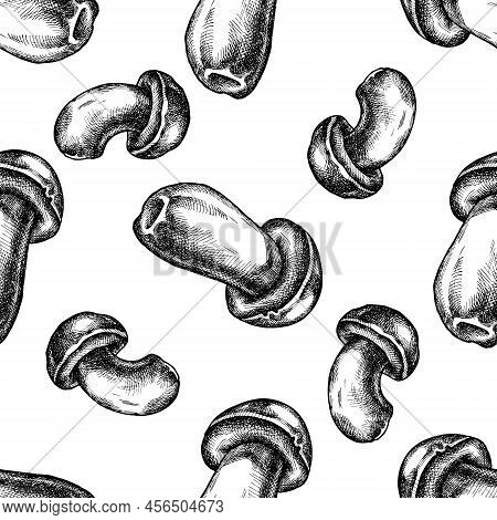 Seamless Pattern With Black And White Porcini Stock Illustration