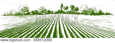 Vector Farm Field Landscape. Furrows Pattern In A Plowed Prepared For Crops Planting. Vintage Realis