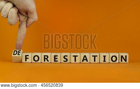 Forestation Or Deforestaion Symbol. Ecologist Turns Wooden Cubes And Changes The Word Deforestation 