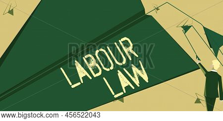 Text Sign Showing Labour Law. Business Concept Rules Implemented By The State Between Employers And 