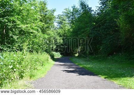 Path In A Public Park In Germany