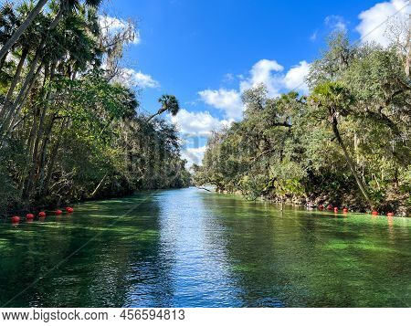 The Spring At Blue Springs State Park  In Orange City, Florida.