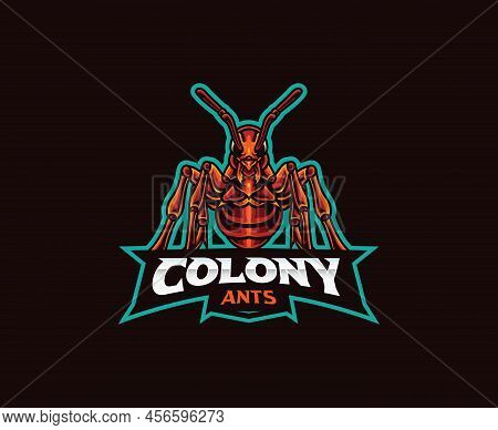 Ant Mascot Logo Design