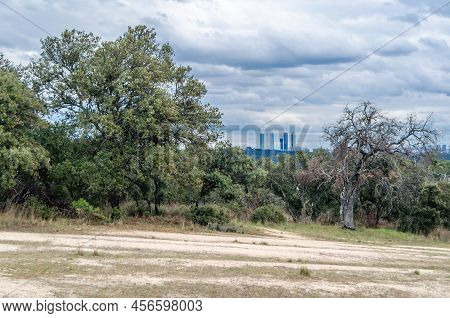 View Of The City Of Madrid, From El Pardo  Forest