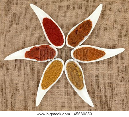 Caril de pasta e pó variedades em pratos de porcelana branca em forma de folha sobre fundo do hessian.