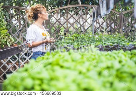 People And Gardening Activity In The Nature - Store And Shop Of Plants To Cook Or Home Design Indoor