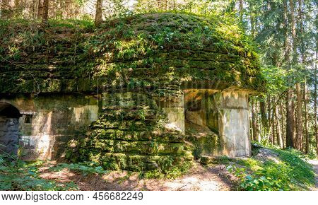 Old Overgrown Bunker In An Austrian Forrest
