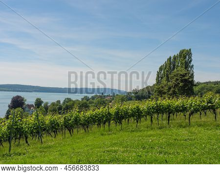 at the lake constance near meersburg in germany