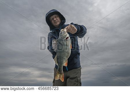 Successful Perch Fishing. Fisherman Hold Big Perch Fish