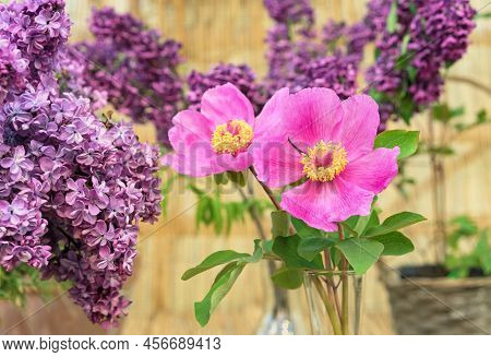 Floral Arrangement With Pink Peonies Virgilius And Lilac Branches.