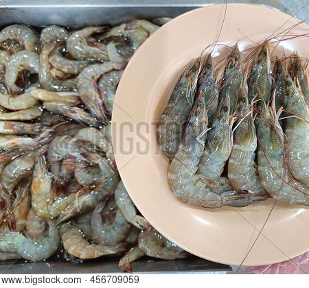 Close Up Fresh Raw Shrimp On Pink Plate.top View.