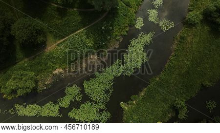 Yellow Water Lilies On The River In The City Park. Aerial Photography.