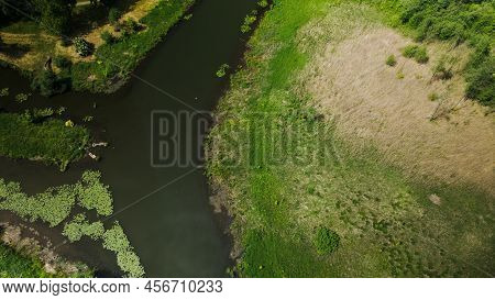 Yellow Water Lilies On The River In The City Park. Aerial Photography.