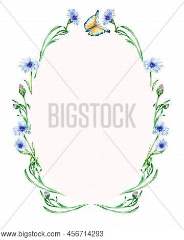 Frame With Meadow Blue Flowers, Butterfly Watercolor Illustration Isolated. Wildflowers Wreath, Corn