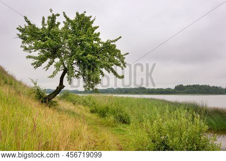 Serene Landscape In The Wild - The Shores Of Lake Otolovo In Belarus