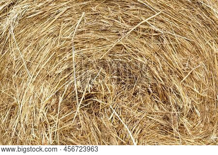 Dry Straw Texture For Background And Design, Bales Of Cereal Straw For Cow And Horse. Selective Focu