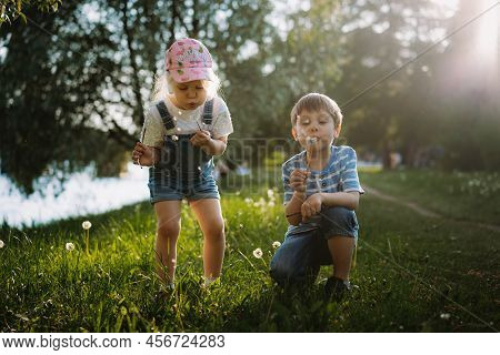 Cute Little Children Blowing Off Dandelion Seeds On Sunset In Park. Photo With Backlight