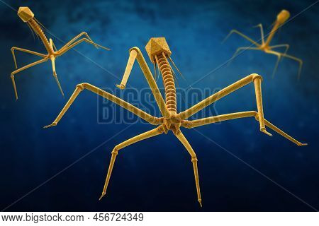 Bacteriophage Or Phage Virus Attacking And Infecting A Bacteria - 3d Illustration