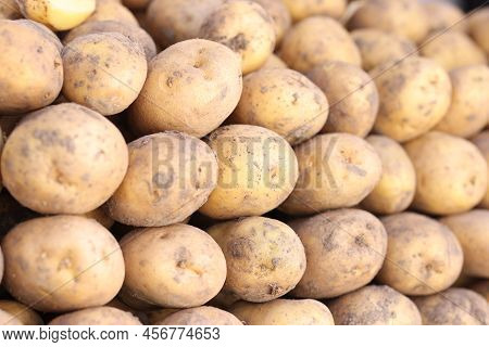 Close-up Of Bunch Of Yellow Fresh Potatoes At Market. Eco-friendly And Farm Vegetables. Harvesting A