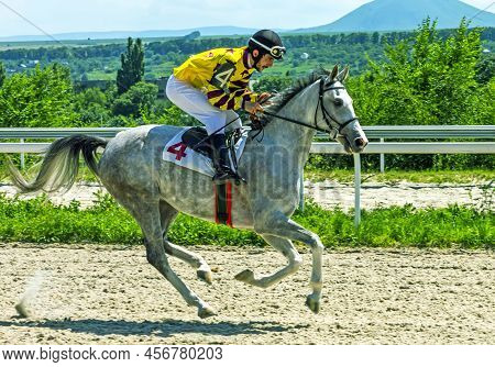 Pyatigorsk,russia - June 19,2022:the Race For The Prize Of The Restrictive ,northern Caucasus.ahead 
