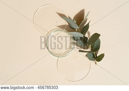 Glass Petri Dish With Transparent Pure Serum For Skin Care On Beige Background, Aboratory Tests And 
