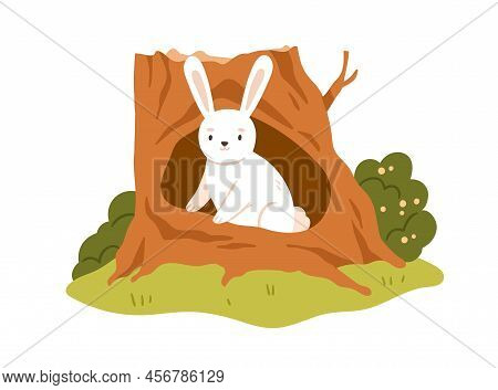 Cute Hare In Trunk Hole. Little Forest Animal Inside Woods Shelter, Tree Hollow. Funny Adorable Wild