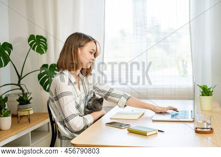 Young Woman Entrepreneur Working On Laptop At Home With Her Cat, Sitting Together In Modern Room Wit