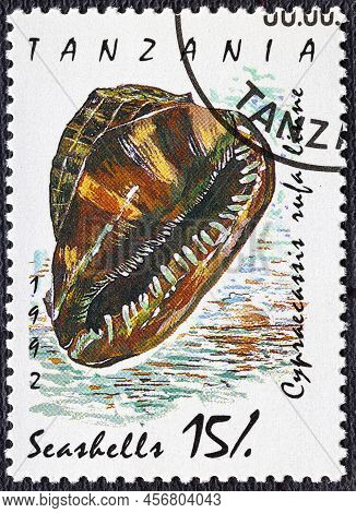 Tanzania - Circa 1992: A Stamp Printed In Tanzania From The Shells Issue Shows Bull-mouth Helmet Cyp