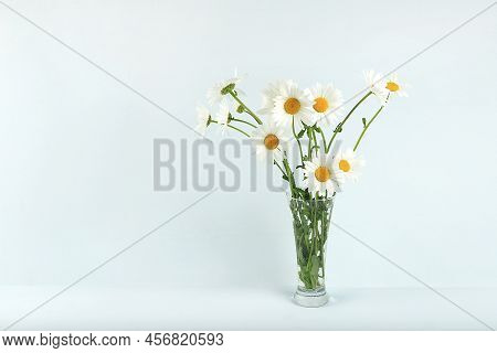 Bouquet With Daisies In A Vase, Flower Arrangement, Minimal Abstract Background For The Presentation