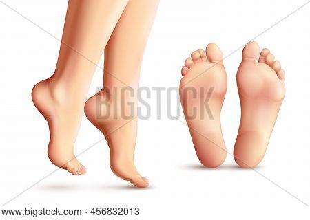 Realistic Female Feet Set With Legs Standing On Toes And Soles Isolated On White Background Vector I