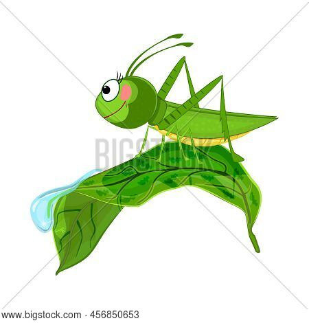 Grasshopper On Leaf Isolated On White Background. Cute Cartoon Locust Crawling On Leaf With Dew Drop